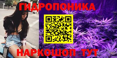 соль ск Будённовск