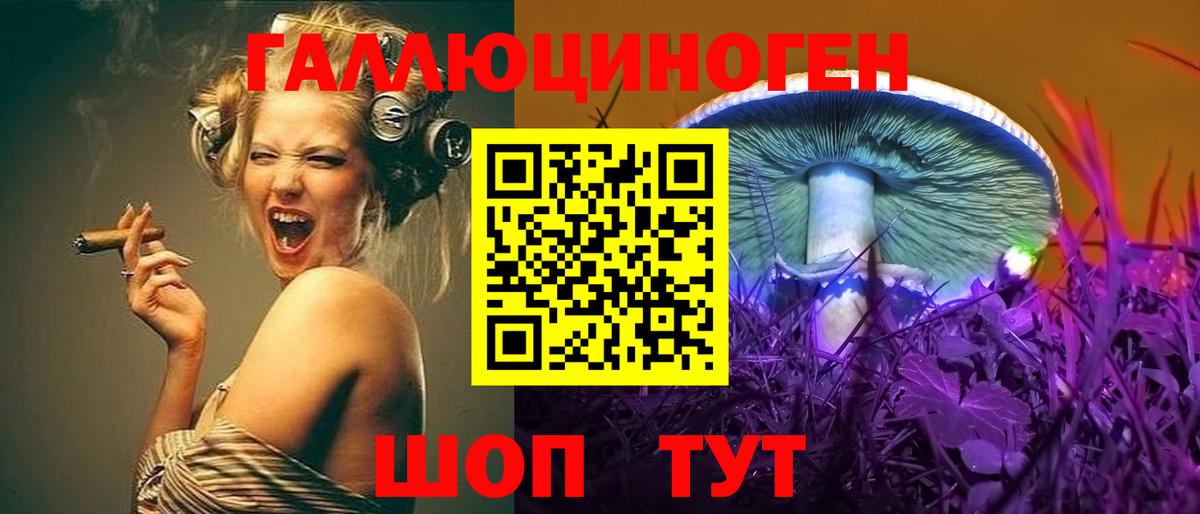 Псилоцибиновые грибы прущие грибы  Вход с VPN  Галлюциногенные грибы прущие грибы  Шуя 